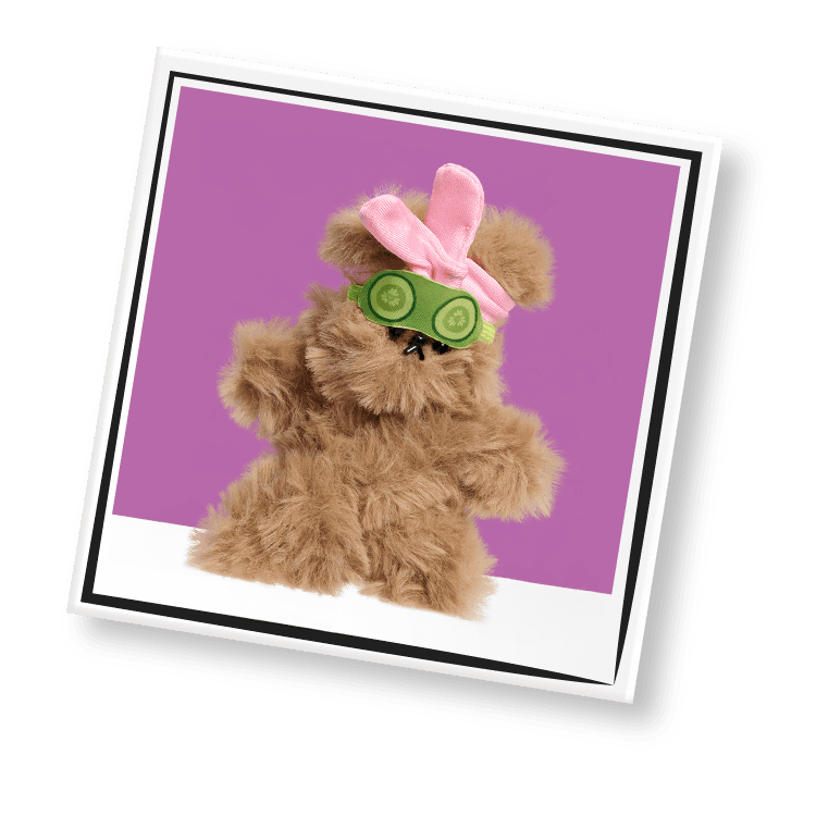 Bliss Bear image