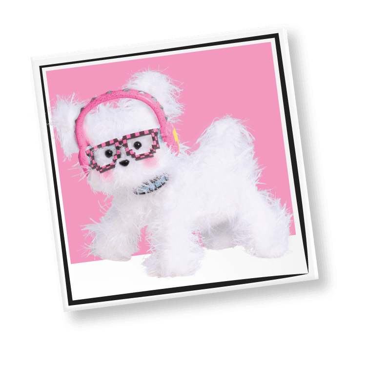 Rock N’ Ruff image